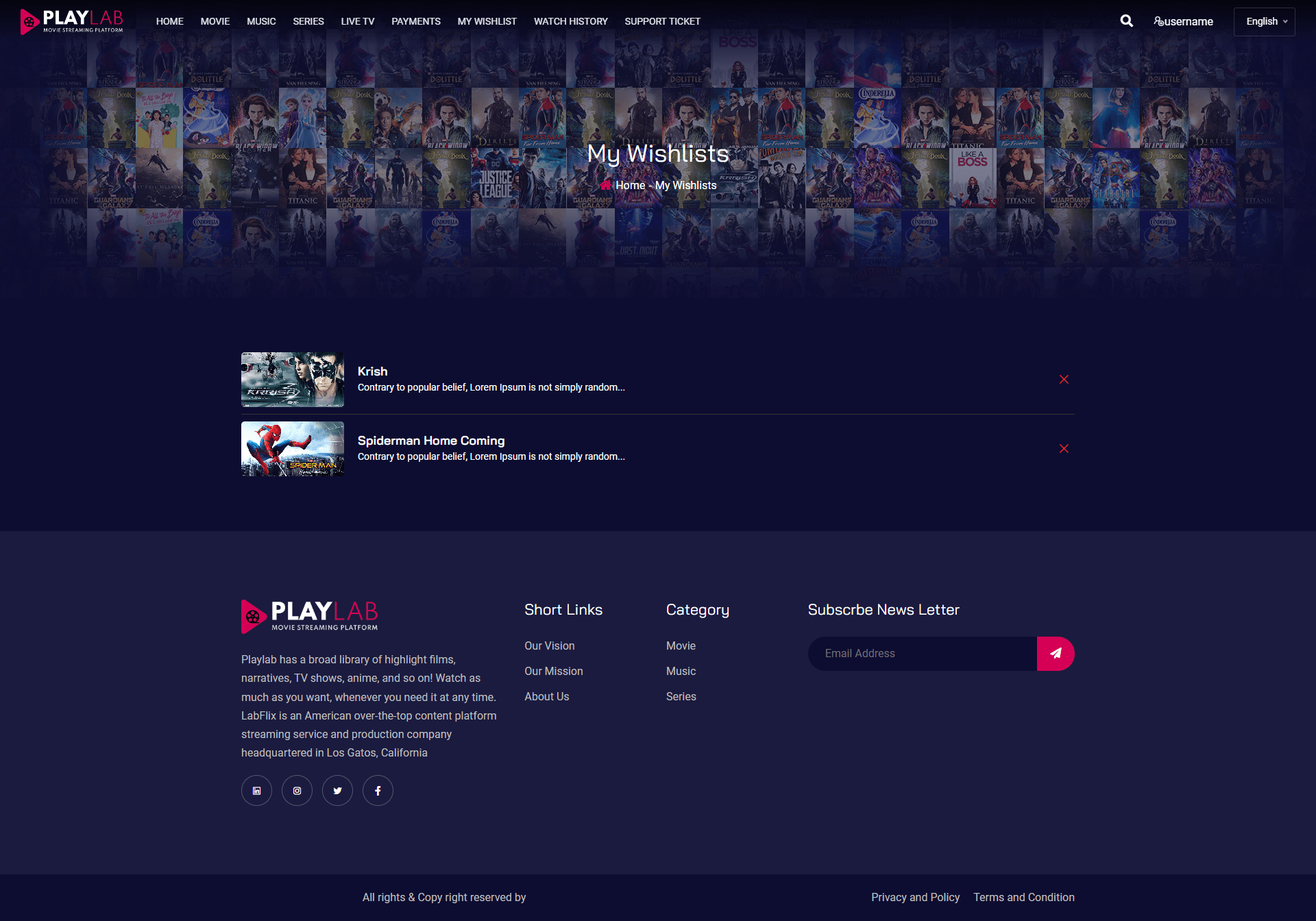 
        PlayLab - On Demand Movie Streaming Platform
      